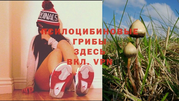 кокаин колумбия Пересвет