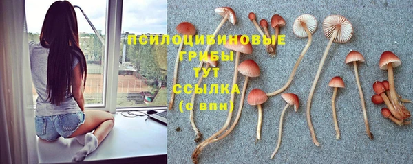 MDMA Premium VHQ Горнозаводск