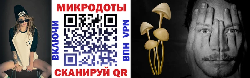 Галлюциногенные грибы прущие грибы  Армянск 
